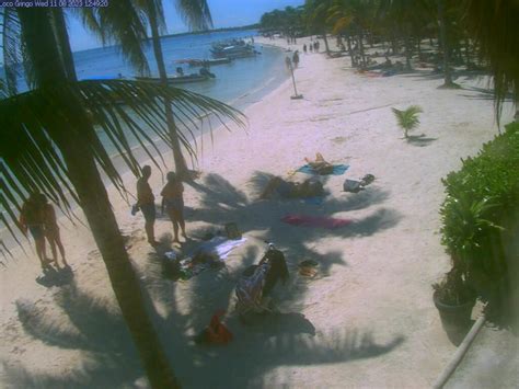 akumal bay webcam|Akumal Bay Webcam